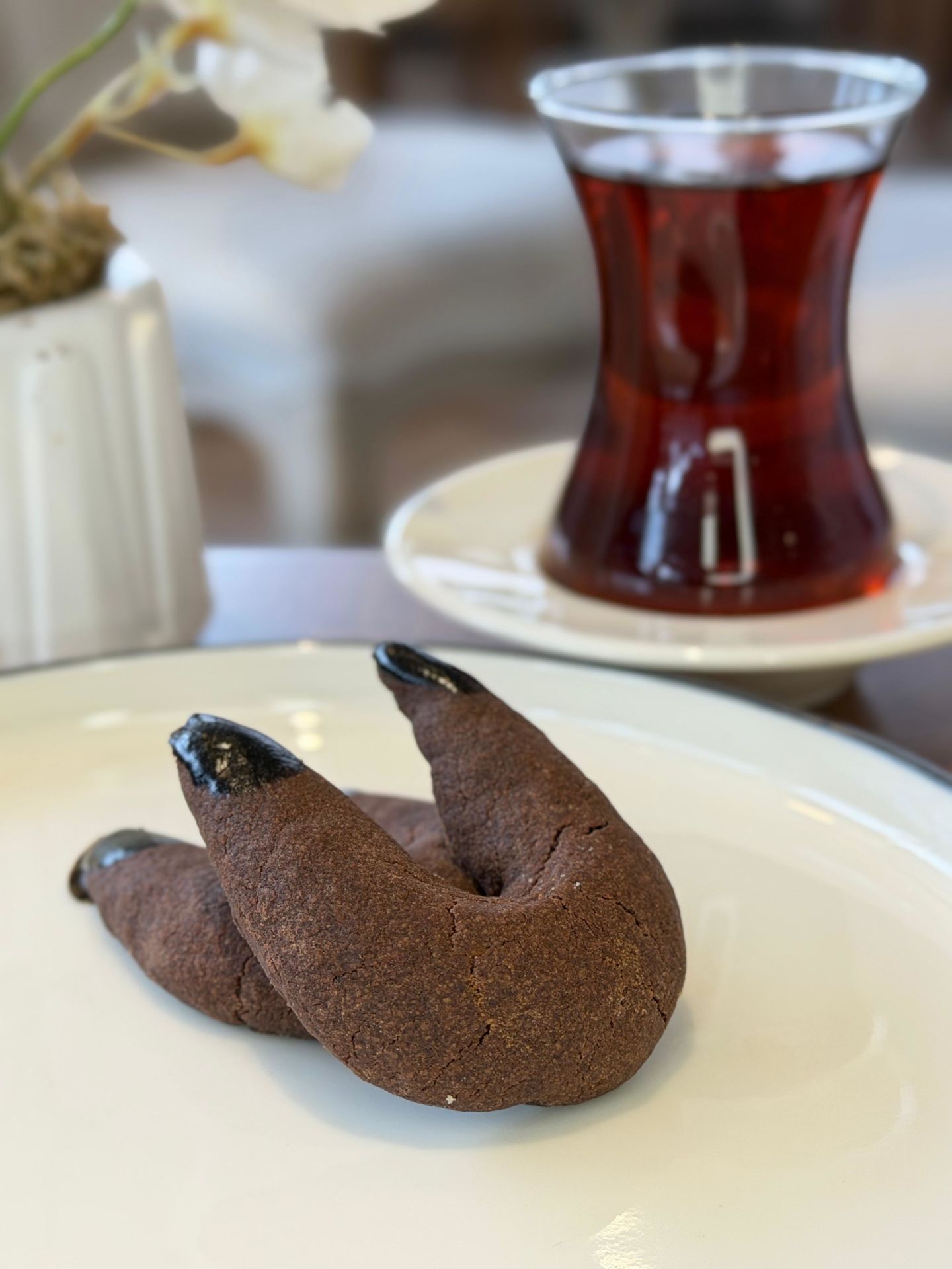 Mıknatıs Kurabiye